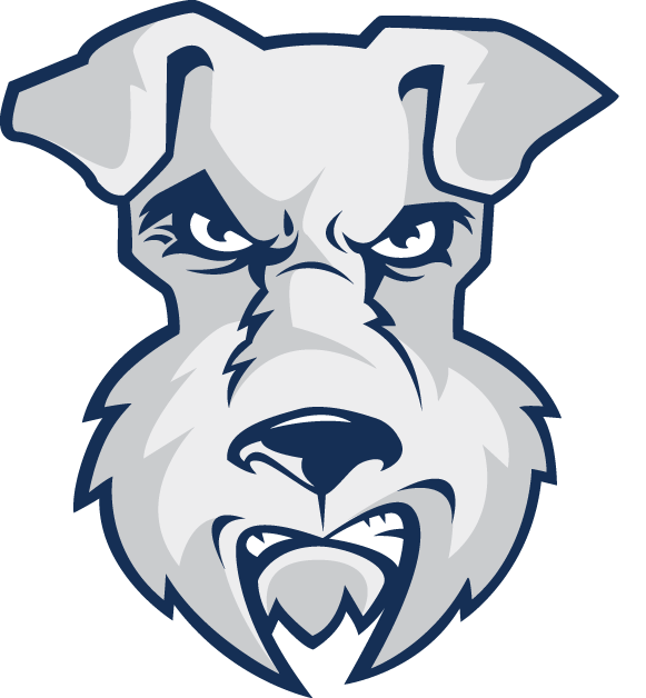 St. Francis Terriers 2001-2013 Alternate Logo diy iron on heat transfer